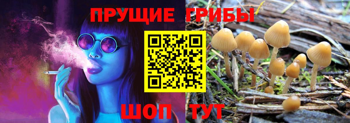 Псилоцибиновые грибы MAGIC MUSHROOMS Туймазы